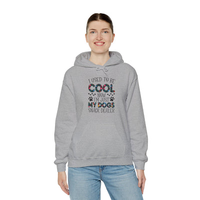 I Used To Be Cool Hooded Sweatshirt