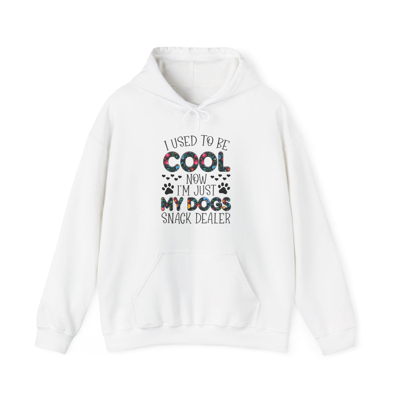 I Used To Be Cool Hooded Sweatshirt