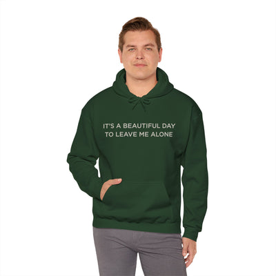 Beautiful day to leave me alone Hooded Sweatshirt