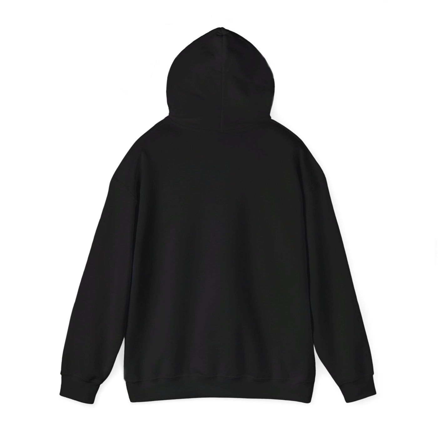 Hit Hooded Sweatshirt