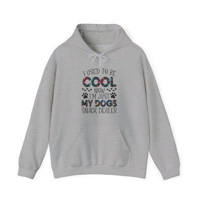 I Used To Be Cool Hooded Sweatshirt