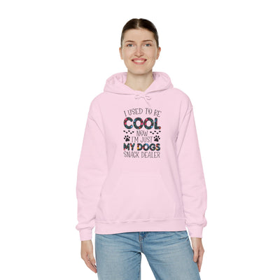 I Used To Be Cool Hooded Sweatshirt