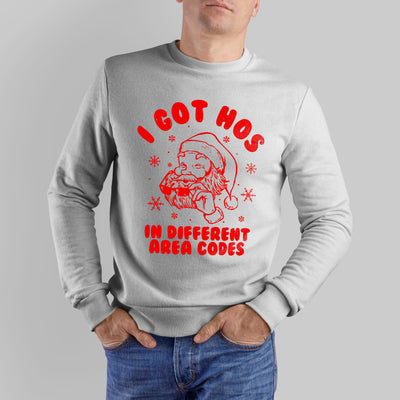 I Got Hos in Different Area Codes Sweatshirt