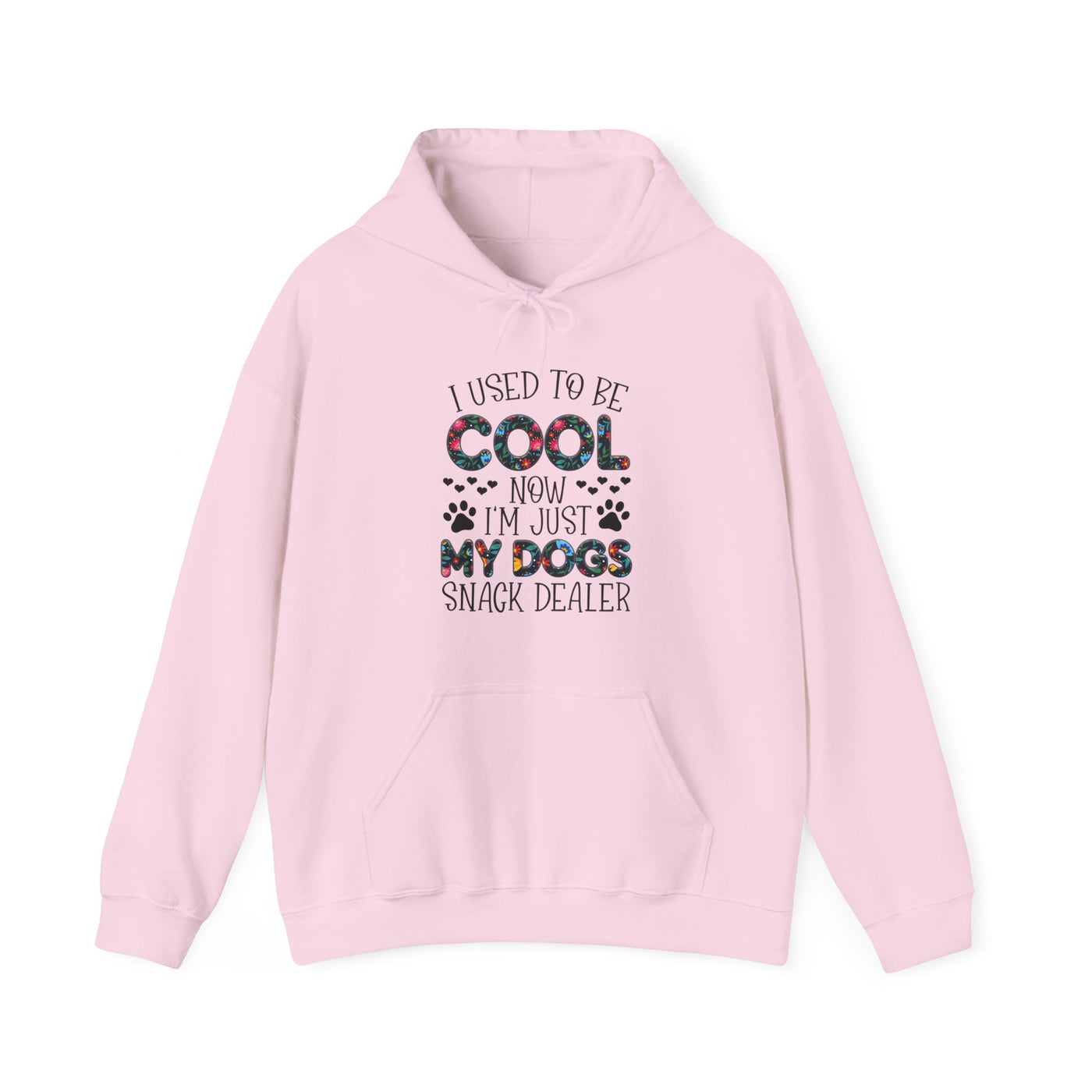 I Used To Be Cool Hooded Sweatshirt