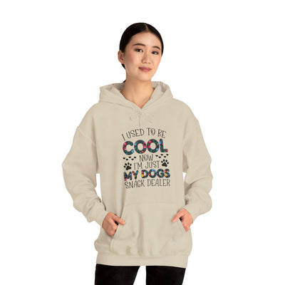 I Used To Be Cool Hooded Sweatshirt